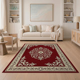 Red Traditional Persian Area Rug with Floral Medallion