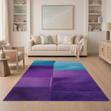 Layered Teal Purple Plush Area Rug