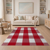 Red Gingham Checkered Area Rug
