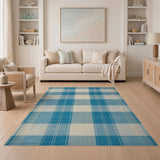 Blue White Checkered Area Rug