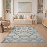 Neutral Grey Trellis Geometric Area Rug