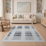 Black and White Black White Grid Woven Area Rug