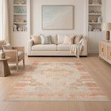 Distressed Vintage Orange Area Rug