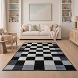 Modern Black White Checkered Area Rug