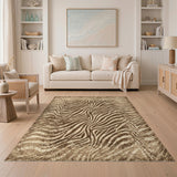 Distressed Brown Zebra Stripe Area Rug