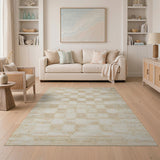 Distressed Vintage Beige Grid Frame Area Rug