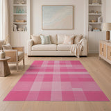 Pink Pink Gingham Checkered Area Rug