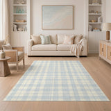 Blue Checkered Washable Area Rug