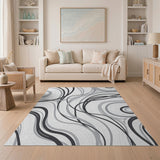 Abstract Area Black and White Abstract Swirl Black White Area Rug