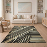 Distressed Geometric Stripe Area Rug in Black Grey