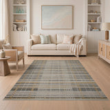 Neutral Beige Grey Plaid Woven Area Rug