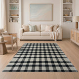 Rustic Farmhouse Black White Checkered Woven Area Rug