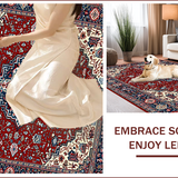 Ultra Soft Area Rug, Non Slip, Stain Resistant, Washable Area Rugs for Living Room, Bedroom, Luxurious Ornate Patterned Accent(Red)