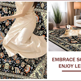 Ultra Soft Area Rug, Non Slip, Stain Resistant, Washable Area Rugs for Living Room, Bedroom, Sophisticated Floral Paisley Aesthetic(Black)