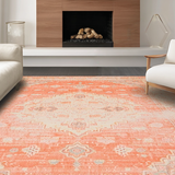 Ultra Soft Area Rug, Non Slip, Stain Resistant, Washable Area Rugs for Living Room, Bedroom, Transitional Warm Tones Arrangement(Orange)