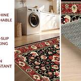 Ultra Soft Area Rug, Non Slip, Stain Resistant, Washable Area Rugs for Living Room, Bedroom, Colorful Botanical Patterned Delight(Red)