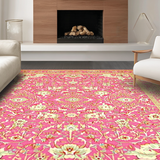 Ultra Soft Area Rug, Non Slip, Stain Resistant, Washable Area Rugs for Living Room, Bedroom, Rustic Ethnic Pattern Composition(Pink)