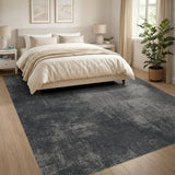 Grey Distressed Vintage Area Rug