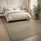 Beige and Neutral Beige Geometric Woven Area Rug