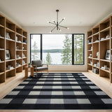 Black and White Geometric Modern Black White Checkered Woven Area Rug