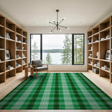 Green Plaid Checkered Geometric Modern Area Rug