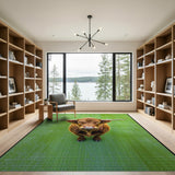 Shaggy Highland Cow on Green Rug