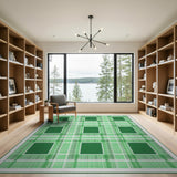 Geometric Modern Green Gingham Plaid Area Rug