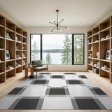 Black and White Geometric Modern Modern Black White Grid Area Rug
