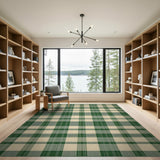 Rustic Farmhouse Green White Checkered Farmhouse Area Rug
