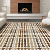 Ultra Soft Area Rug, Non Slip, Stain Resistant, Washable Area Rugs for Living Room, Bedroom, Rustic Brown Abstract Geometry(Beige)