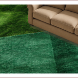 Ultra Soft Area Rug, Non Slip, Stain Resistant, Washable Area Rugs for Living Room, Bedroom, Soft Grass-Like Dorm Room Aesthetic Carpet(Green)