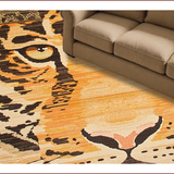 Ultra Soft Area Rug, Non Slip, Stain Resistant, Washable Area Rugs for Living Room, Bedroom, Stylish Soft Camel Aesthetic(Orange)