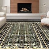 Ultra Soft Area Rug, Non Slip, Stain Resistant, Washable Area Rugs for Living Room, Bedroom, Minimalist Black Beige Statement Piece(Gold)