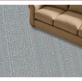 Ultra Soft Area Rug, Non Slip, Stain Resistant, Washable Area Rugs for Living Room, Bedroom, Western Aesthetic Throw Rug(Gray)
