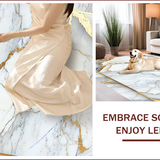 Ultra Soft Area Rug, Non Slip, Stain Resistant, Washable Area Rugs for Living Room, Bedroom, Elegant Marble Border Living Room Stain-Resistant Rug(White)