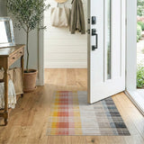 Multi-Color Ombre Vertical Stripe Area Rug