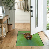 Shaggy Highland Cow on Green Rug