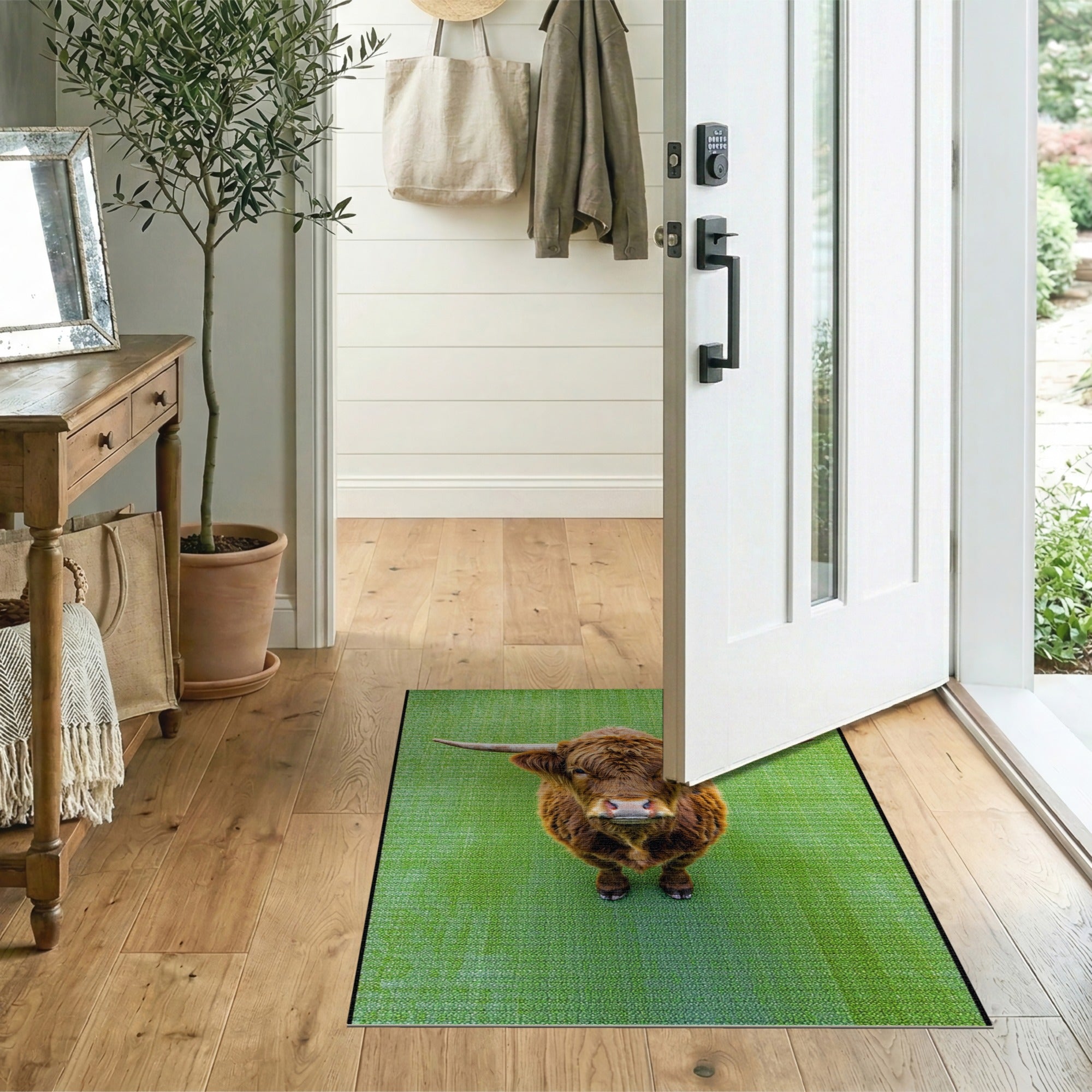 Shaggy Highland Cow on Green Rug
