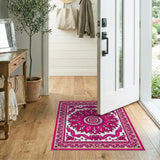 Vibrant Pink Persian Floral Medallion Traditional Persian Rug