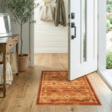 Southwestern Arrow Brown Area Rug