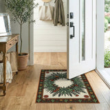Southwestern Succulent Wreath Area Rug