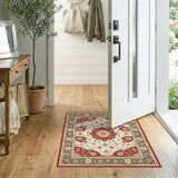 Traditional Persian Red Floral Persian Medallion Area Rug