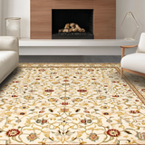Ultra Soft Area Rug, Non Slip, Stain Resistant, Washable Area Rugs for Living Room, Bedroom, Graceful Curved Border Aesthetic(Beige)