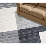 Ultra Soft Area Rug, Non Slip, Stain Resistant, Washable Area Rugs for Living Room, Bedroom, Sleek Monochrome Abstract Artistry(Gray)