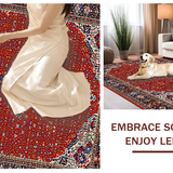 Ultra Soft Area Rug, Non Slip, Stain Resistant, Washable Area Rugs for Living Room, Bedroom, Chic Transitional Ethnic Textures(Red)