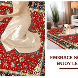Ultra Soft Area Rug, Non Slip, Stain Resistant, Washable Area Rugs for Living Room, Bedroom, Chic Modern Abstract Design(Red)