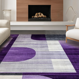 Ultra Soft Area Rug, Non Slip, Stain Resistant, Washable Area Rugs for Living Room, Bedroom, Chic Transitional Textured Floor Accent(Purple)