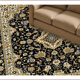 Ultra Soft Area Rug, Non Slip, Stain Resistant, Washable Area Rugs for Living Room, Bedroom, Chic Black and Gold Motif(Black)