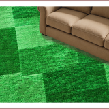 Ultra Soft Area Rug, Non Slip, Stain Resistant, Washable Area Rugs for Living Room, Bedroom, Cozy Green Shag Rug for Teen Bedroom(Green)