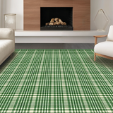 Ultra Soft Area Rug, Non Slip, Stain Resistant, Washable Area Rugs for Living Room, Bedroom, Rustic Fluffy Shag Textured Motif(Green)